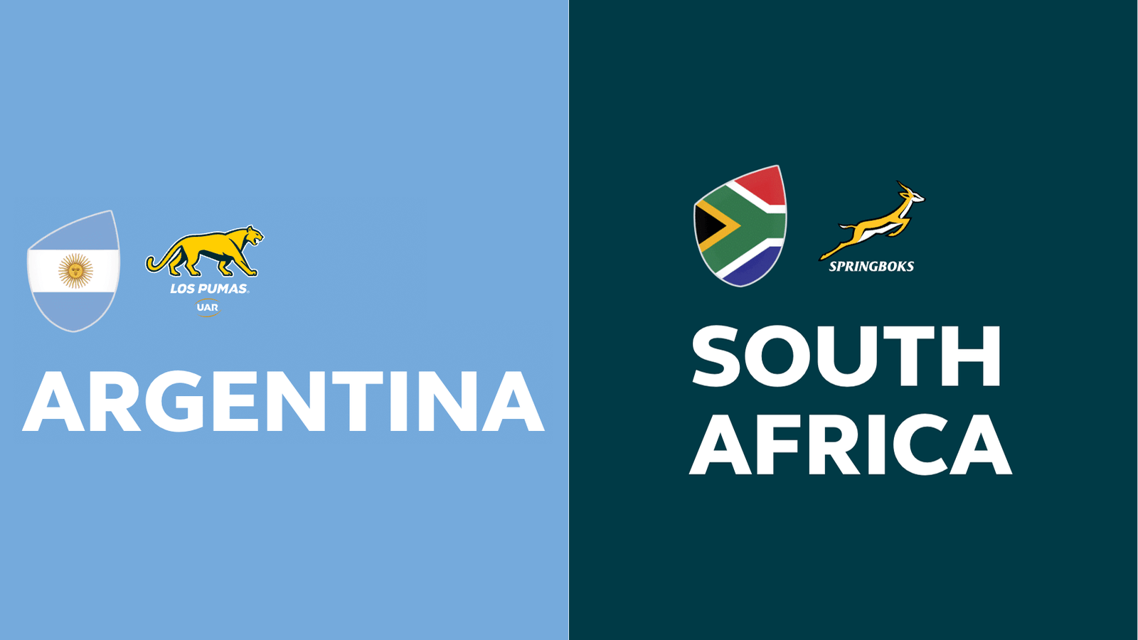 Argentina v South Africa Reply 2026